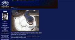 Desktop Screenshot of moreliasnake.com